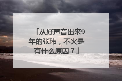 从好声音出来9年的张玮，不火是有什么原因？