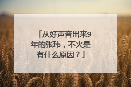 从好声音出来9年的张玮，不火是有什么原因？