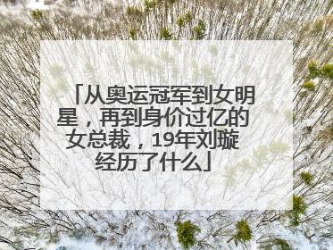 从奥运冠军到女明星，再到身价过亿的女总裁，19年刘璇经历了什么