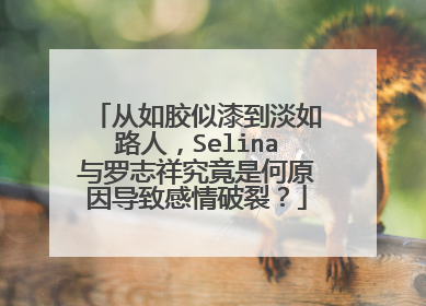 从如胶似漆到淡如路人，Selina与罗志祥究竟是何原因导致感情破裂？