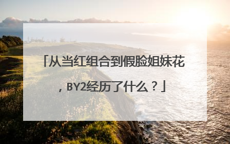 从当红组合到假脸姐妹花，BY2经历了什么？