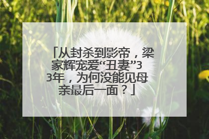 从封杀到影帝，梁家辉宠爱“丑妻”33年，为何没能见母亲最后一面？