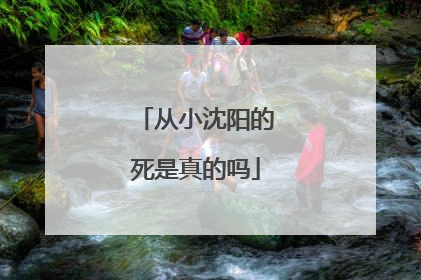 从小沈阳的死是真的吗