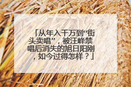 从年入千万到“街头卖唱”,被汪峰禁唱后消失的旭日阳刚,如今过得怎样?