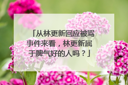 从林更新回应被骂事件来看,林更新属于脾气好的人吗?