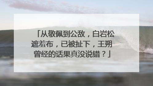 从敬佩到公敌，白岩松遮羞布，已被扯下，王朔曾经的话果真没说错？
