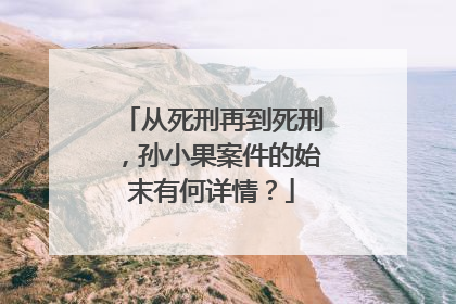 从死刑再到死刑,孙小果案件的始末有何详情?