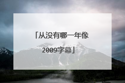 从没有哪一年像2009字幕