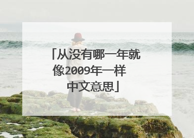 从没有哪一年就像2009年一样 中文意思