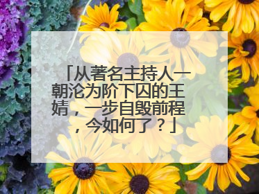 从著名主持人一朝沦为阶下囚的王婧，一步自毁前程，今如何了？