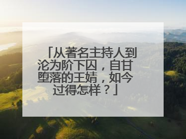 从著名主持人到沦为阶下囚，自甘堕落的王婧，如今过得怎样？