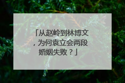 从赵岭到林博文，为何袁立会两段婚姻失败？