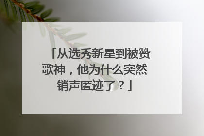 从选秀新星到被赞歌神,他为什么突然销声匿迹了?