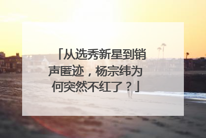 从选秀新星到销声匿迹,杨宗纬为何突然不红了?