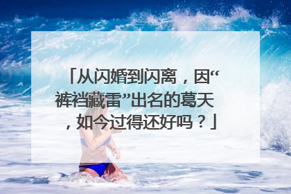 从闪婚到闪离，因“裤裆藏雷”出名的葛天，如今过得还好吗？