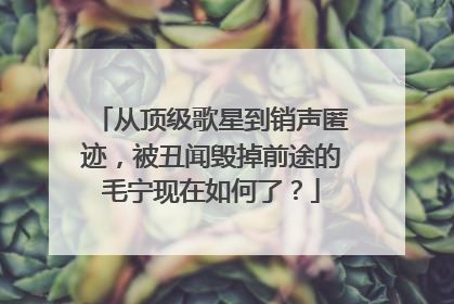 从顶级歌星到销声匿迹,被丑闻毁掉前途的毛宁现在如何了?