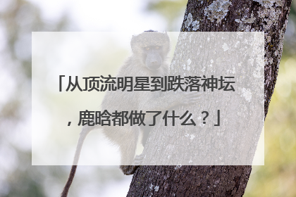 从顶流明星到跌落神坛，鹿晗都做了什么？