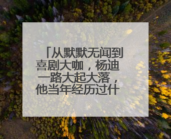 从默默无闻到喜剧大咖,杨迪一路大起大落,他当年经历过什么?
