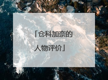 仓科加奈的人物评价