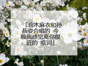 仓木麻衣和孙燕姿合唱的 今晚我感觉离你很近的 歌词