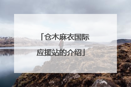 仓木麻衣国际应援站的介绍