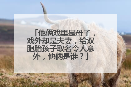 他俩戏里是母子,戏外却是夫妻,给双胞胎孩子取名令人意外,他俩是谁?