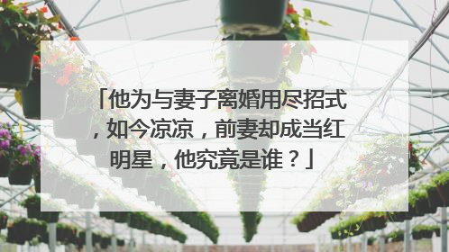 他为与妻子离婚用尽招式，如今凉凉，前妻却成当红明星，他究竟是谁？