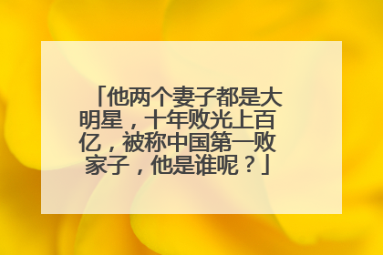 他两个妻子都是大明星,十年败光上百亿,被称中国第一败家子,他是谁呢?