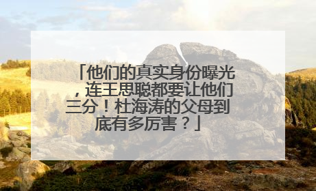 他们的真实身份曝光,连王思聪都要让他们三分!杜海涛的父母到底有多厉害?