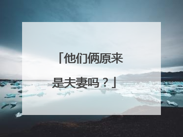 他们俩原来是夫妻吗？