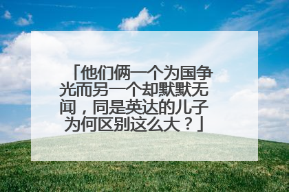 他们俩一个为国争光而另一个却默默无闻,同是英达的儿子为何区别这么大?