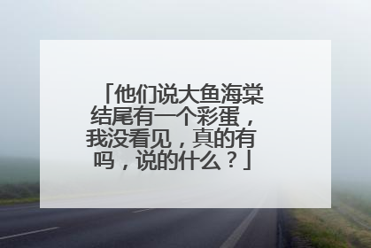 他们说大鱼海棠结尾有一个彩蛋,我没看见,真的有吗,说的什么?