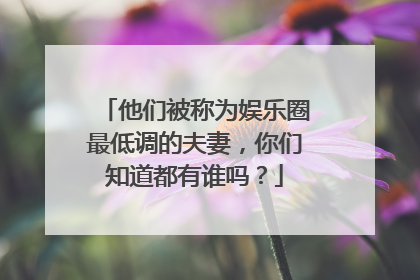 他们被称为娱乐圈最低调的夫妻，你们知道都有谁吗？