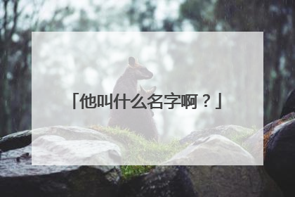 他叫什么名字啊?