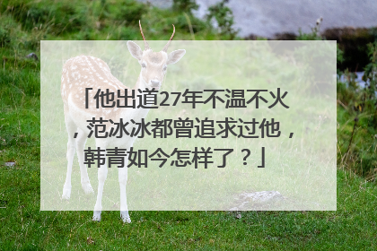 他出道27年不温不火,范冰冰都曾追求过他,韩青如今怎样了?