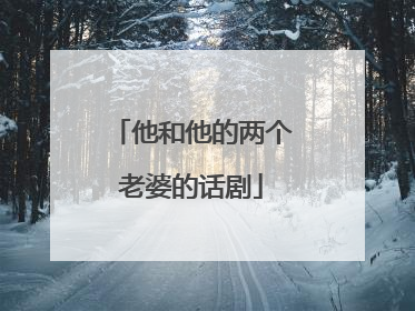 他和他的两个老婆的话剧