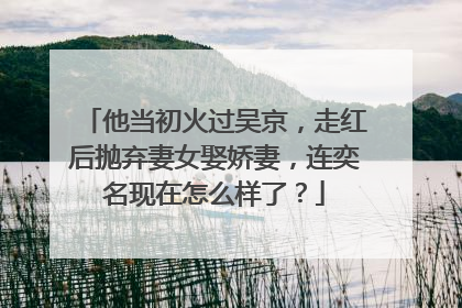 他当初火过吴京，走红后抛弃妻女娶娇妻，连奕名现在怎么样了？