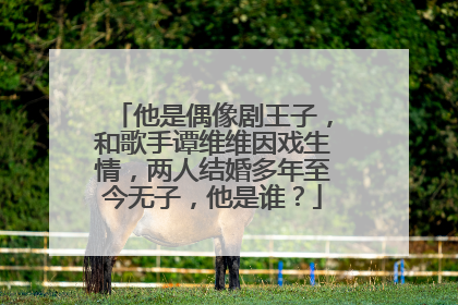 他是偶像剧王子，和歌手谭维维因戏生情，两人结婚多年至今无子，他是谁？