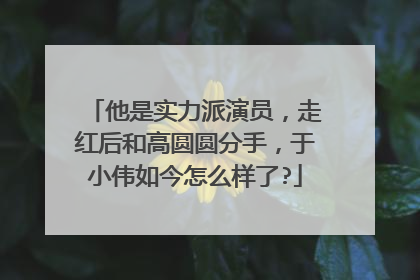 他是实力派演员，走红后和高圆圆分手，于小伟如今怎么样了?