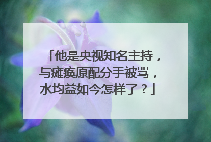 他是央视知名主持,与瘫痪原配分手被骂,水均益如今怎样了?
