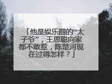他是娱乐圈的“太子爷”,王思聪向家都不敢惹,陈楚河现在过得怎样?