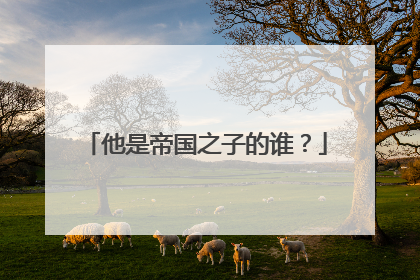 他是帝国之子的谁?