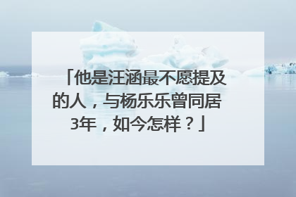他是汪涵最不愿提及的人,与杨乐乐曾同居3年,如今怎样?