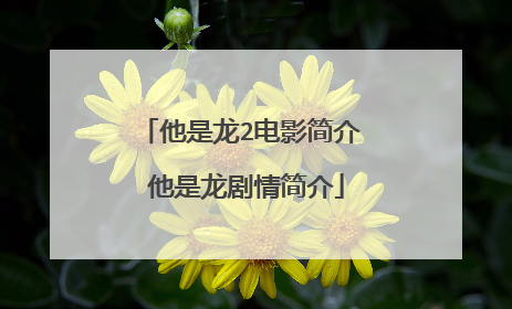 他是龙2电影简介 他是龙剧情简介