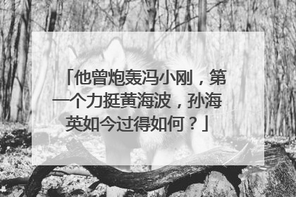 他曾炮轰冯小刚，第一个力挺黄海波，孙海英如今过得如何？