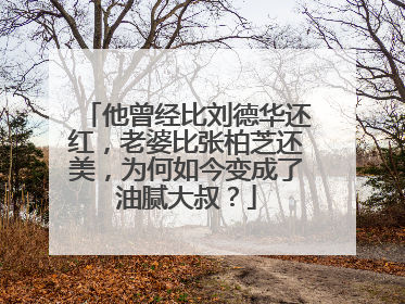 他曾经比刘德华还红,老婆比张柏芝还美,为何如今变成了油腻大叔?