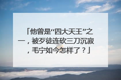 他曾是“四大天王”之一,被歹徒连砍三刀沉寂,毛宁如今怎样了?