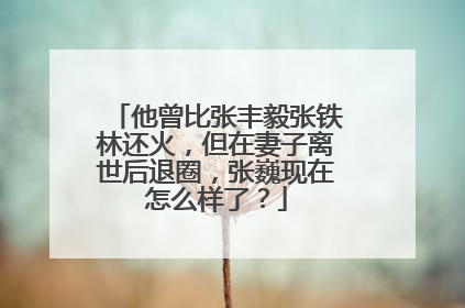 他曾比张丰毅张铁林还火，但在妻子离世后退圈，张巍现在怎么样了？