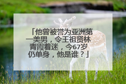 他曾被誉为亚洲第一美男,令王祖贤林青霞着迷,今67岁仍单身,他是谁?
