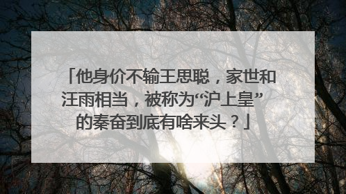他身价不输王思聪，家世和汪雨相当，被称为“沪上皇”的秦奋到底有啥来头？